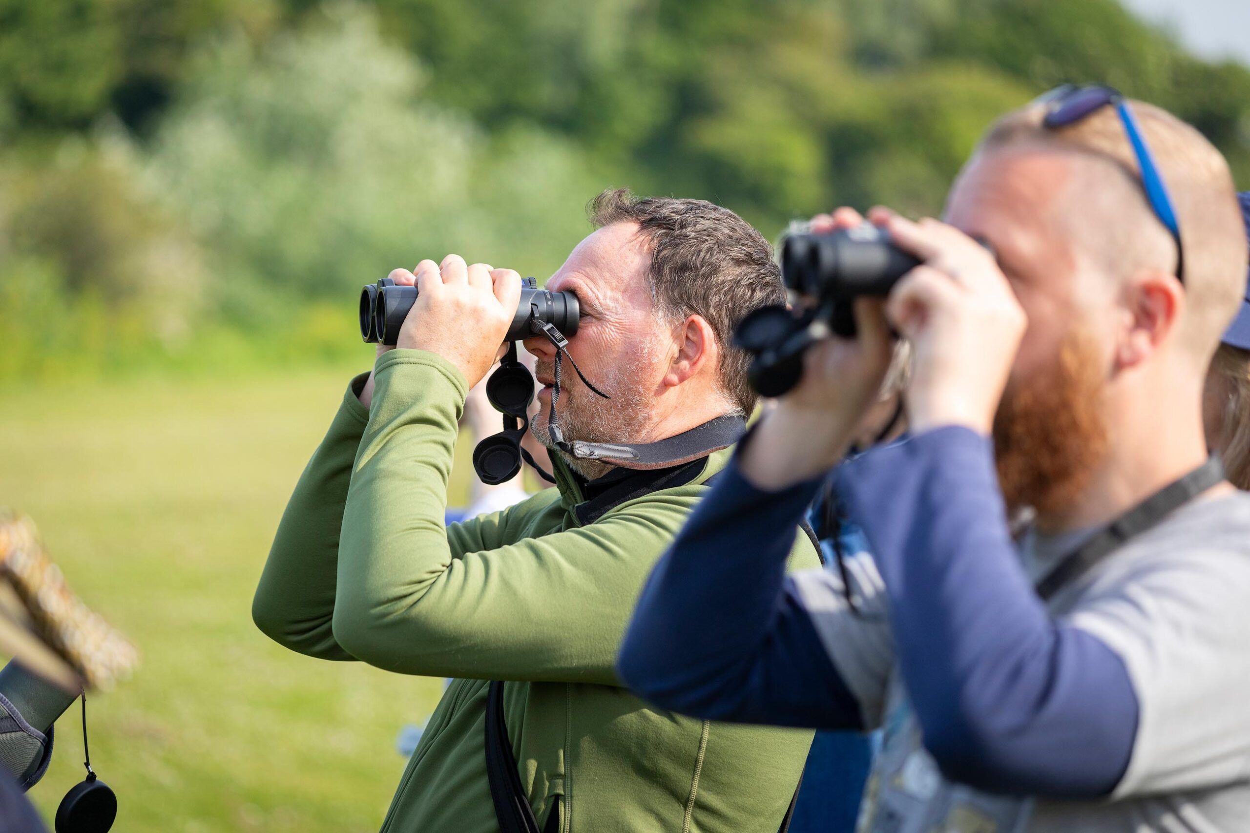 Bird Watching …