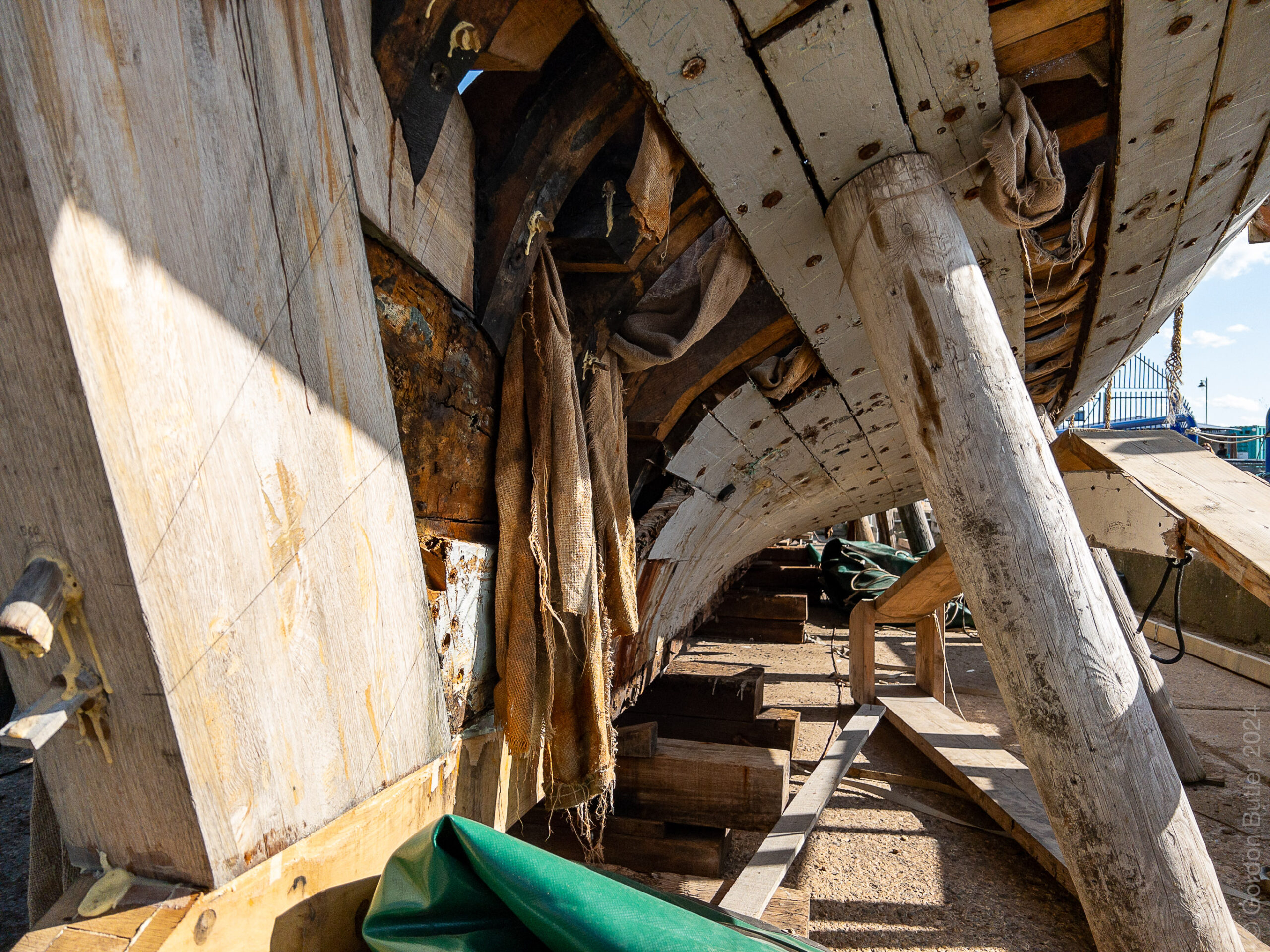 Gamecock Revival: Get Involved …