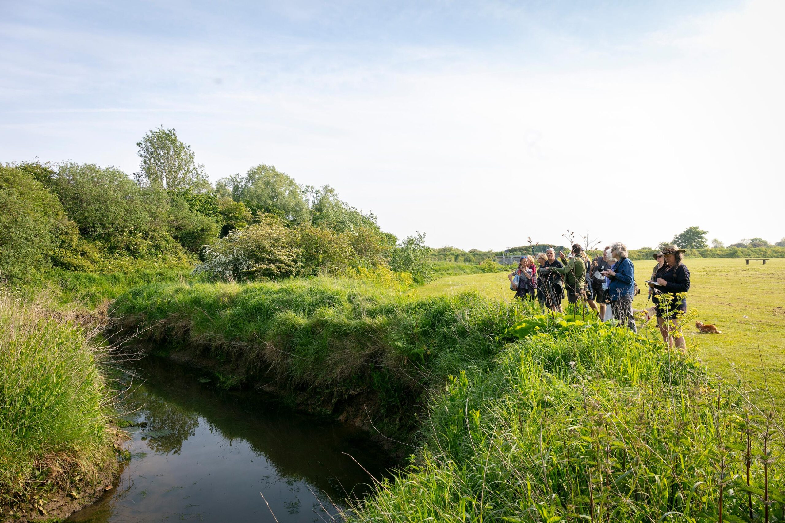 Long Rock Guided Nature Walks